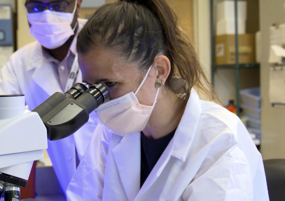 Scientists at the National Institutes of Health.