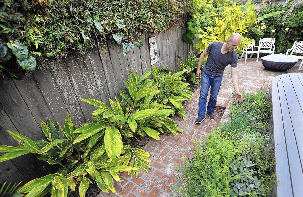 Cameron Clark walks through his back patio, where bananas, guava, passion fruit, ginger and an herb garden are fed by water diverted from his clothes washer in his 1905 Victorian farmhouse in Santa Barbara.
