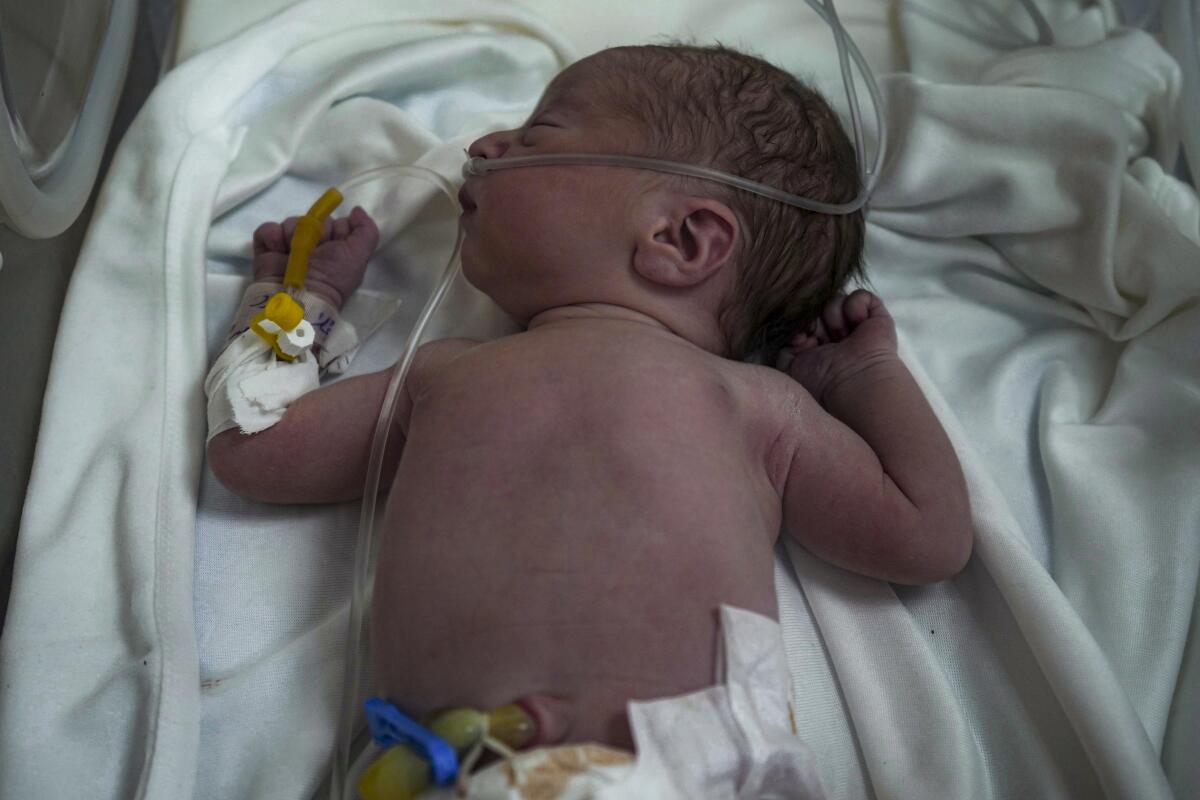 A premature, newborn baby, oxygen tubes around his head, lies in an incubator