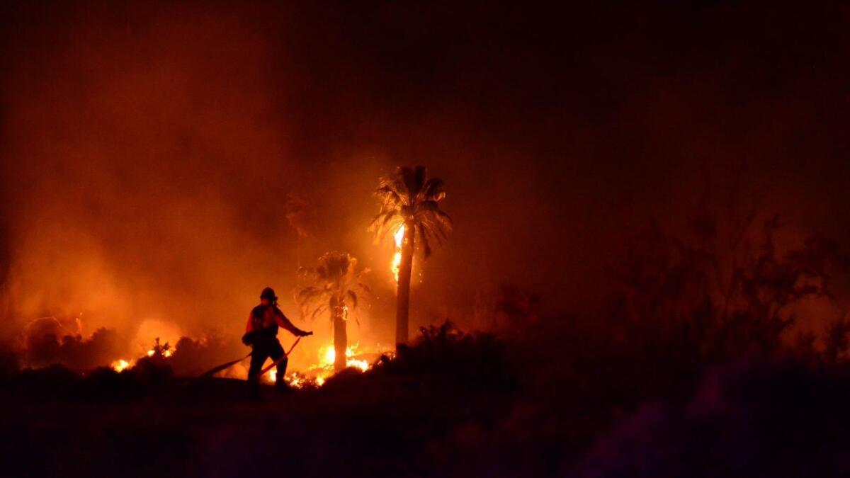 A man has been charged with setting a fire that damaged historic trees at the Oasis of Mara site at Joshua Tree National Park.