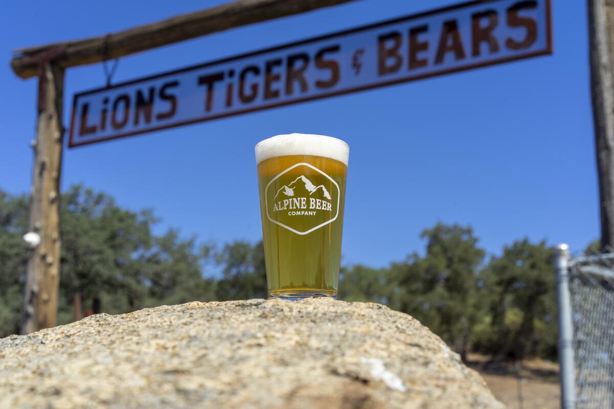 Alpine Beer Company's lager "OH MY!" supports the big cat and exotic animal rescue, Lions Tigers & Bears.