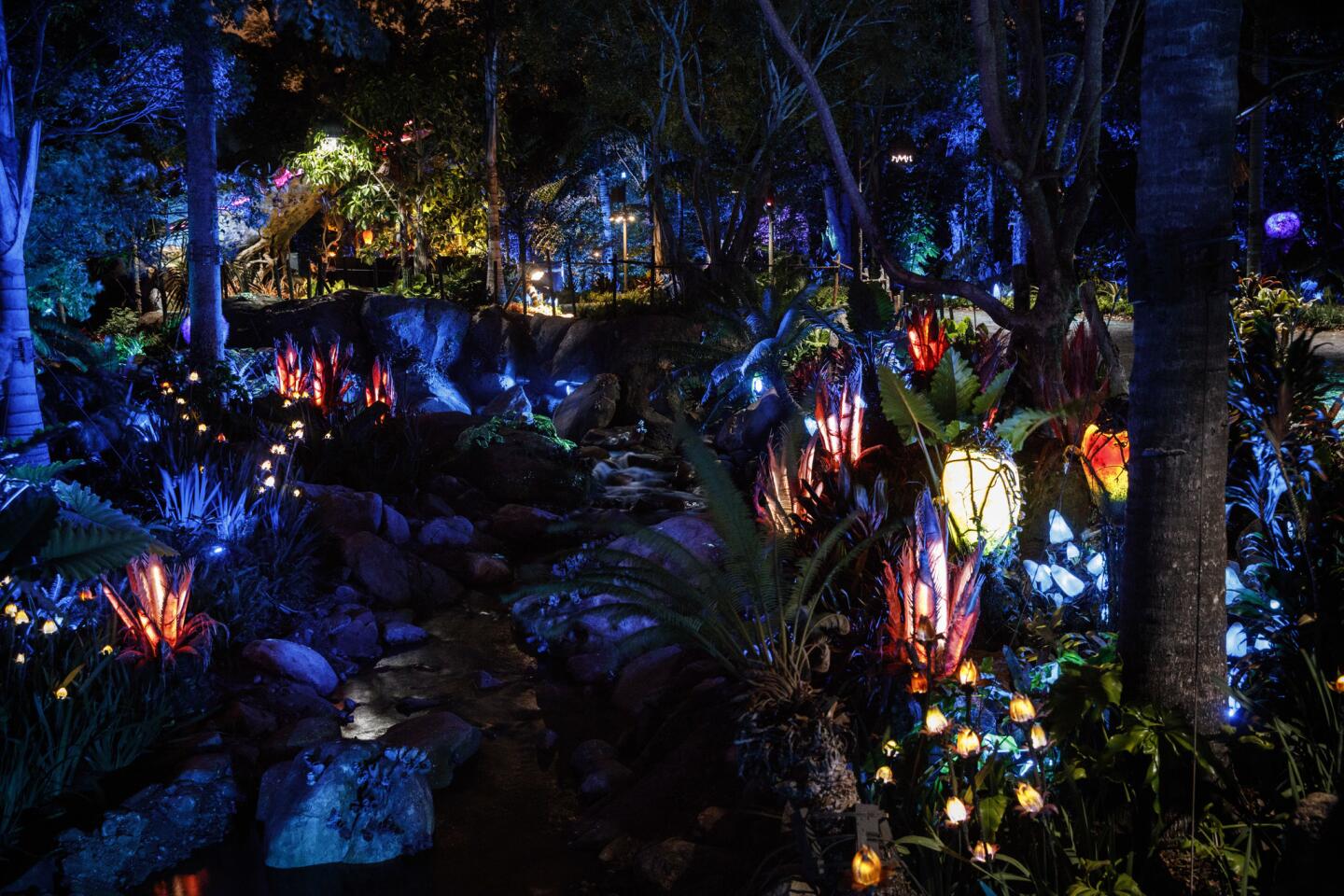 Inside Disney World's Pandora