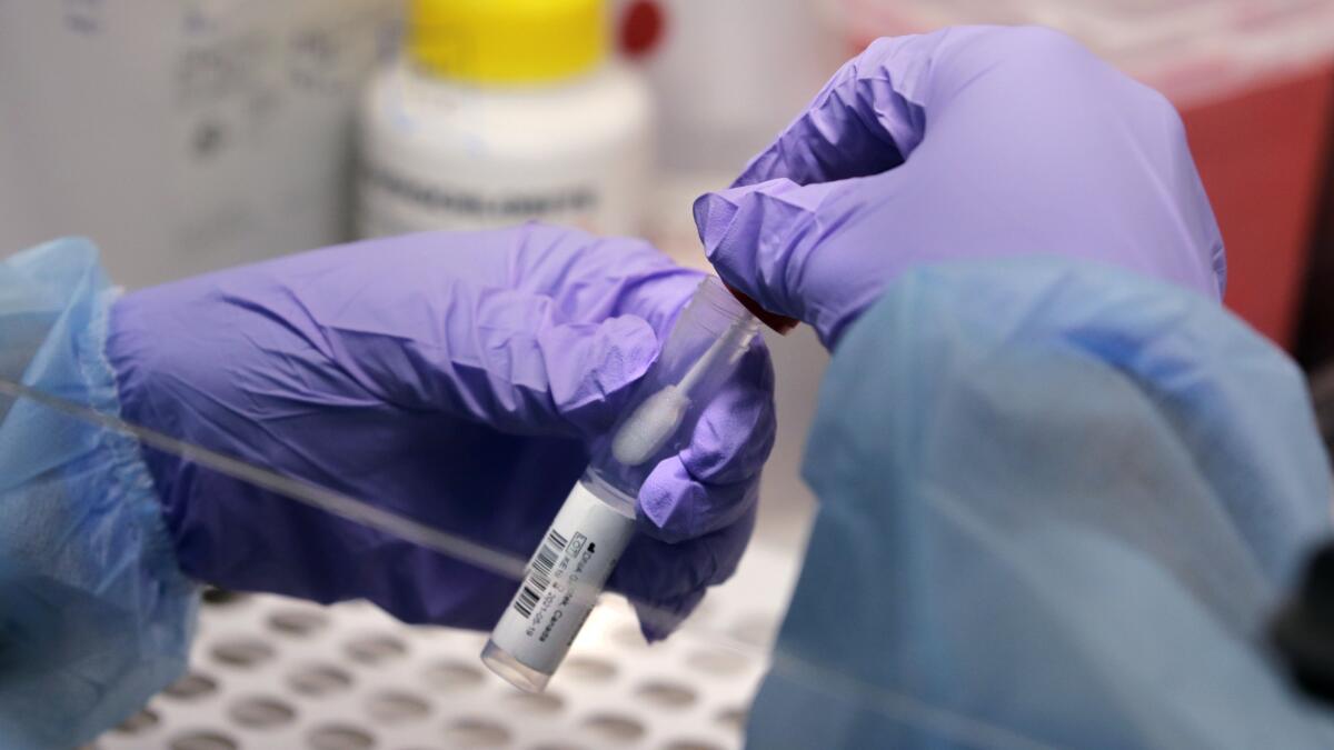 A biomedical engineering graduate student holds a swab and specimen vial in a testing lab.