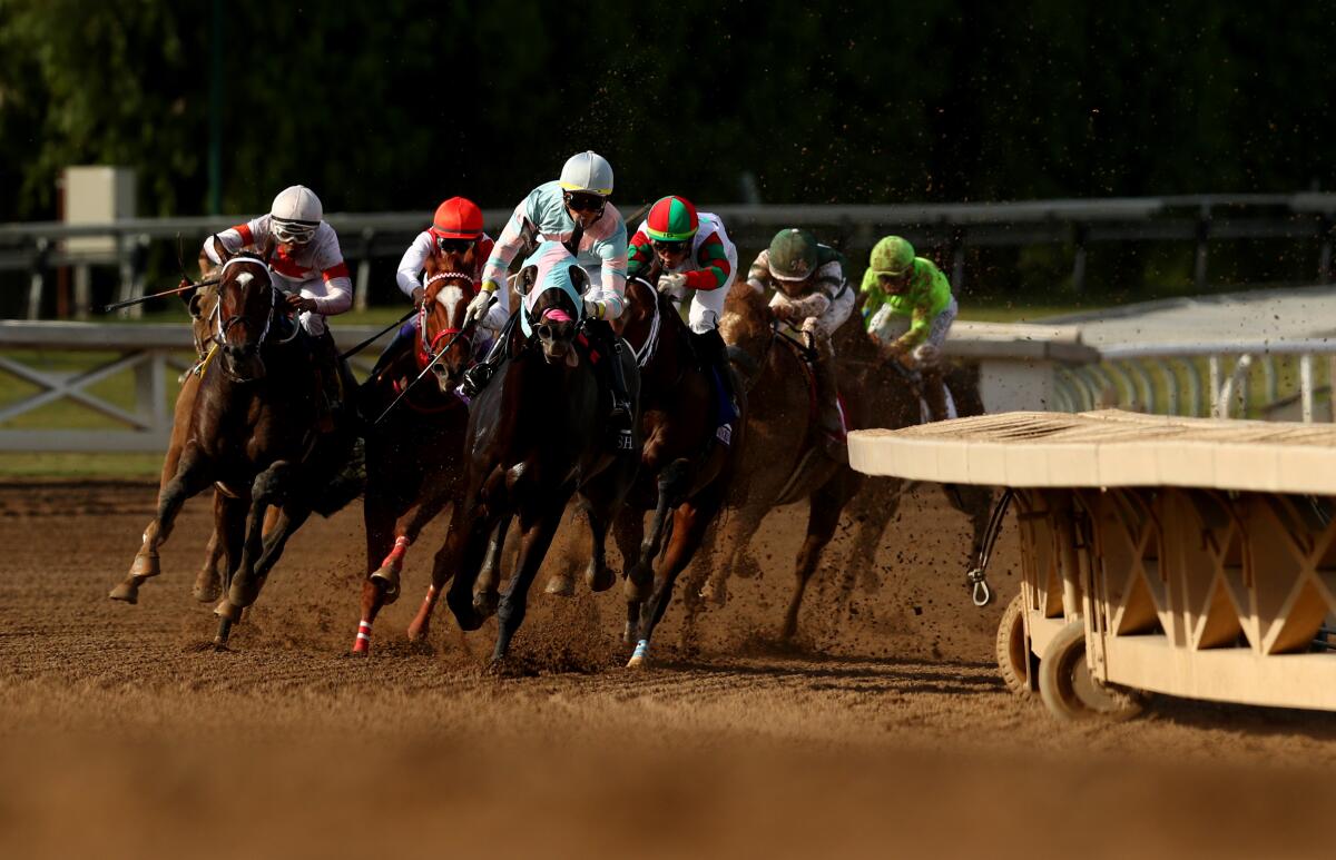 Horses run onto the final stretch at Santa Anita.