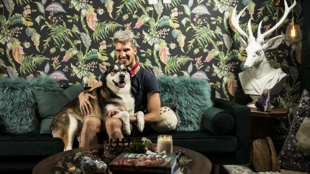 Actor and YouTube star Joey Graceffa poses for a portrait with his dog, Wolf, in his favorite room at his home on Monday, Oct. 8, 2018 in Los Angeles. (Kent Nishimura / Los Angeles Times)