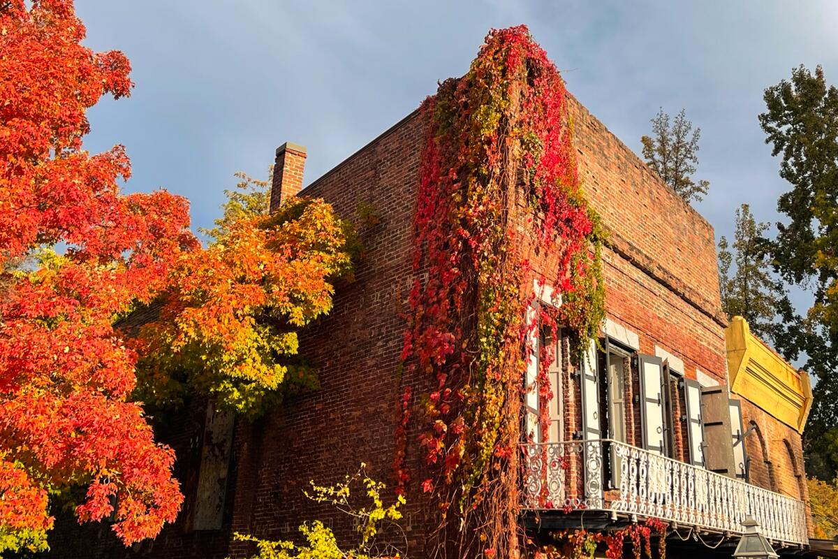 Fall foliage on a 19th-century brick building