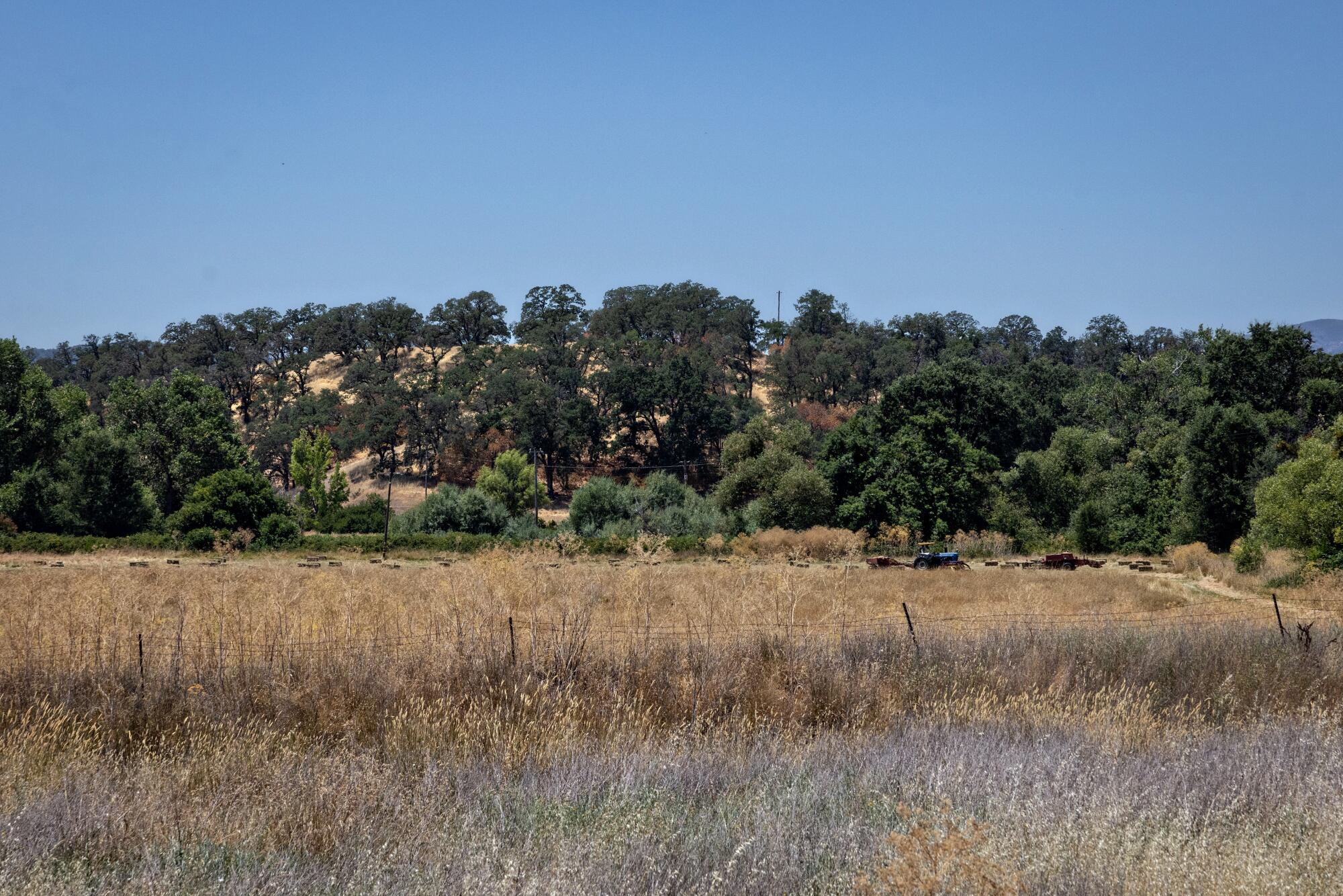 A hill above a grassy field.