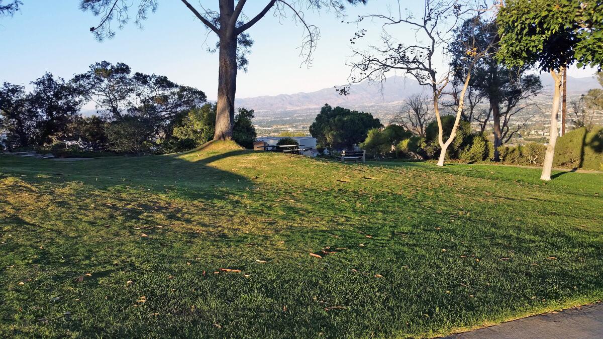 The Laguna Beach City Council on Tuesday recommended changes to Top of the World Park, including a reduction in the grass area and more drought-tolerant plants.