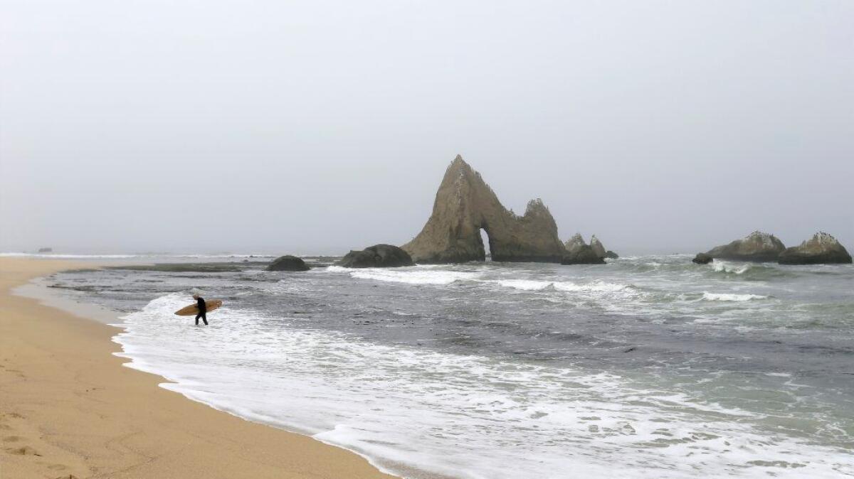 Mark Massara, lawyer and consultant for Surfrider, heads in from surfing in front of shark's tooth rock at Martin's Beach.