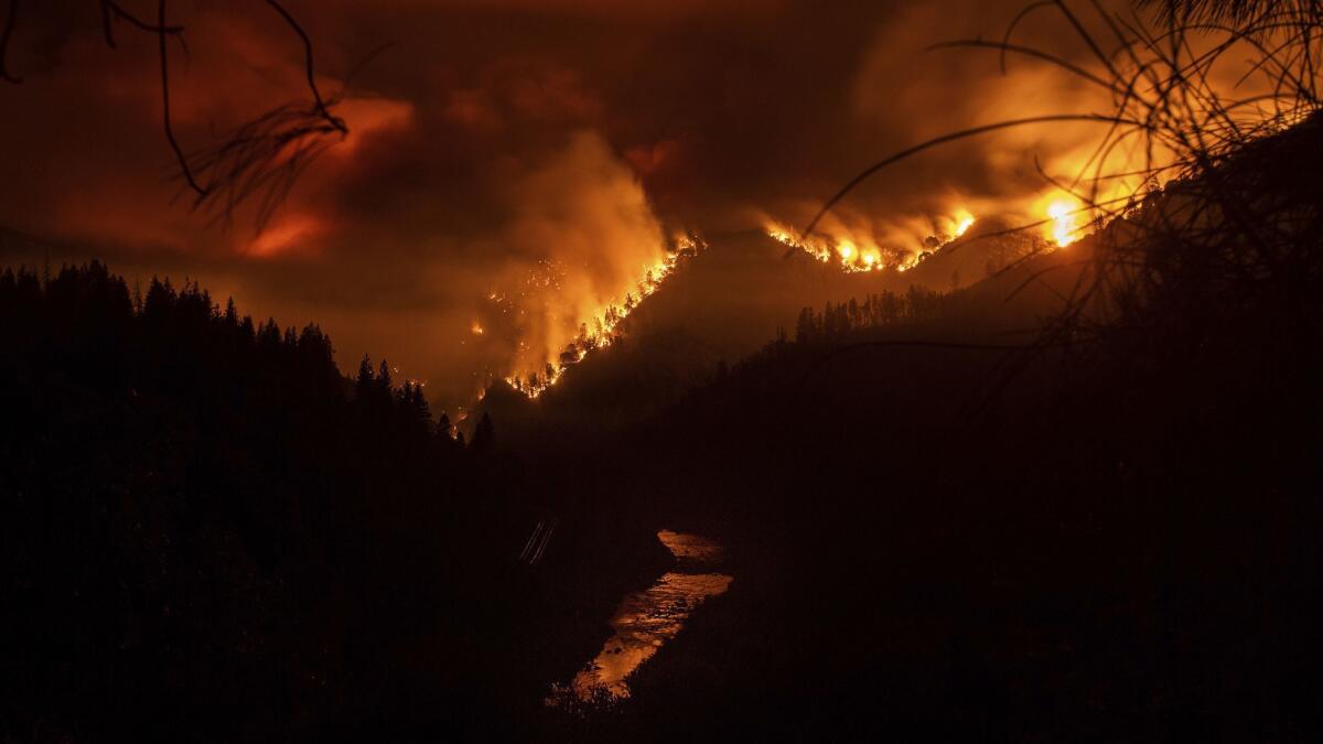 The Delta Fire burns in the Shasta-Trinity National Forest.