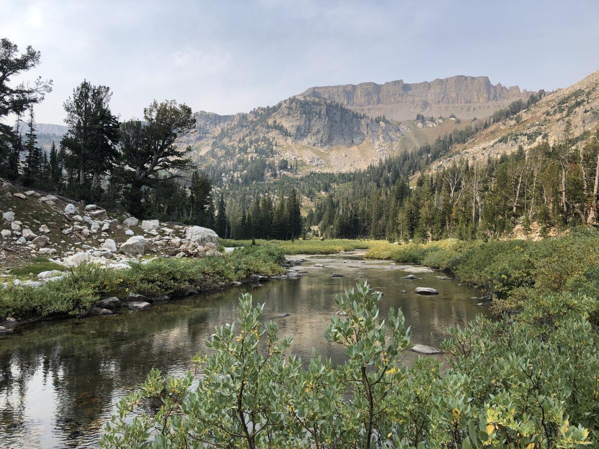 A creek runs through Grand Teton National Park.