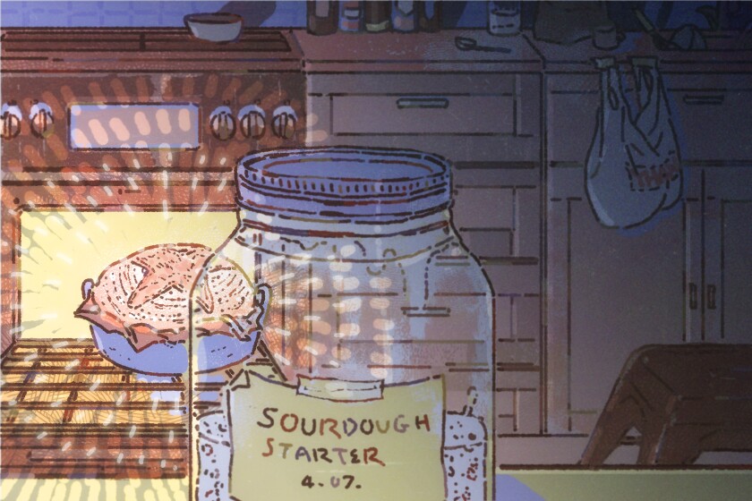 la-hm-sourdough-starter