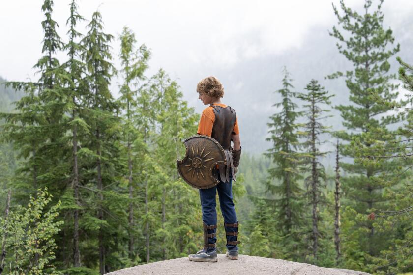 A preteen boy with a shield stands on a rock outcropping in a forest.