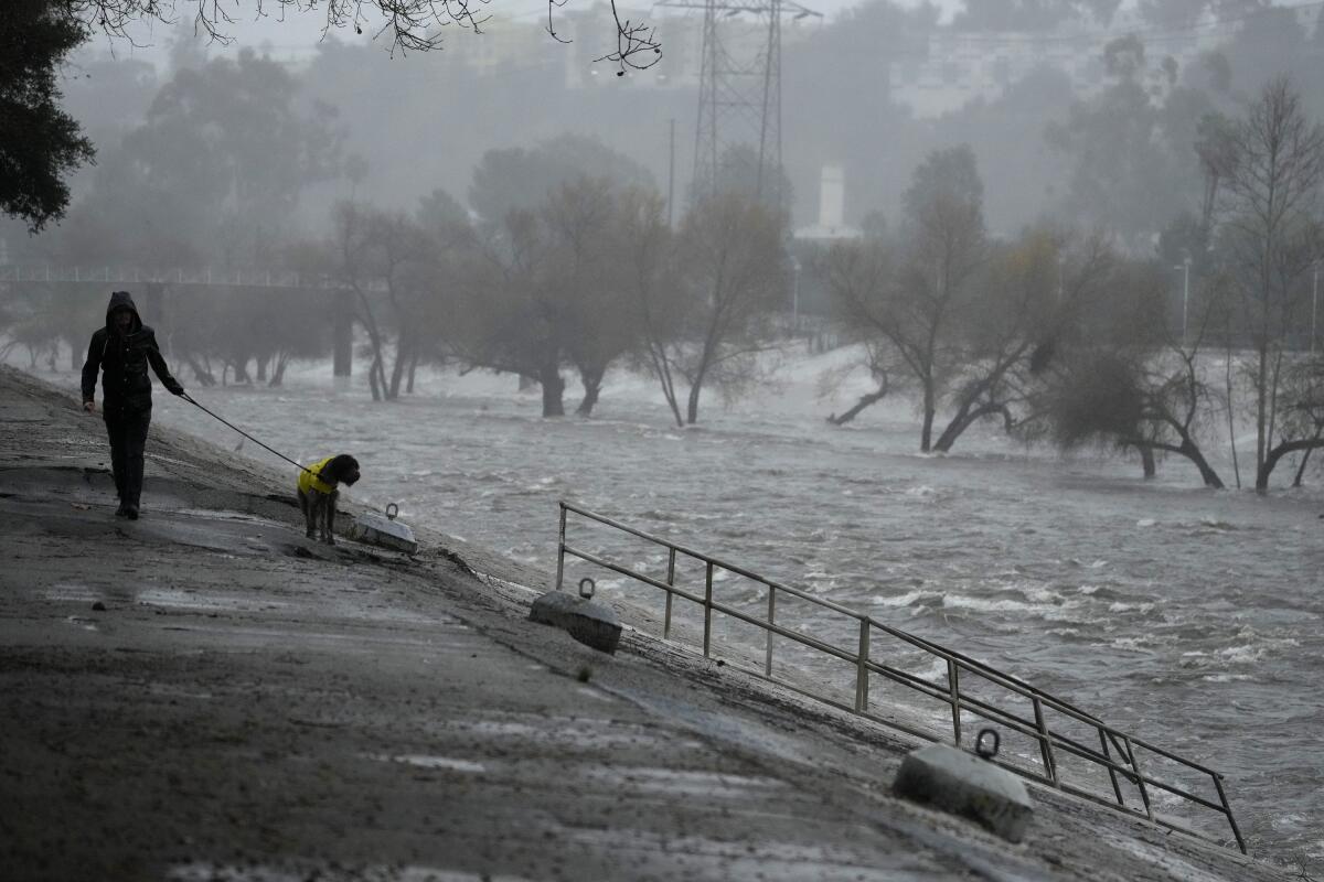 A man walks his dog near the Los Angeles River, which carries stormwater downstream, on Feb. 4. 