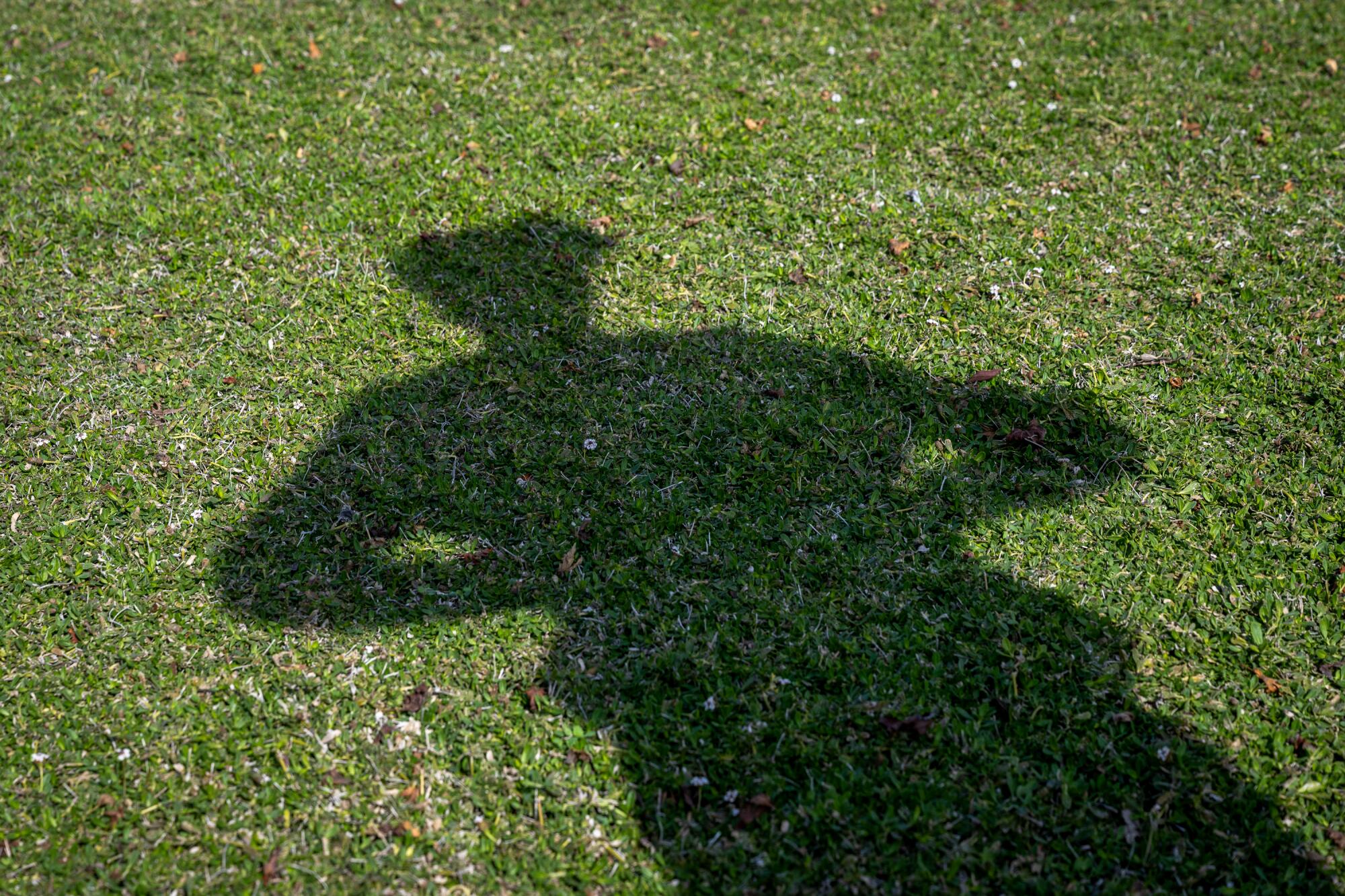 The shadow of someone wearing a baseball cap with their hands on their hips, cast upon a lush green lawn.