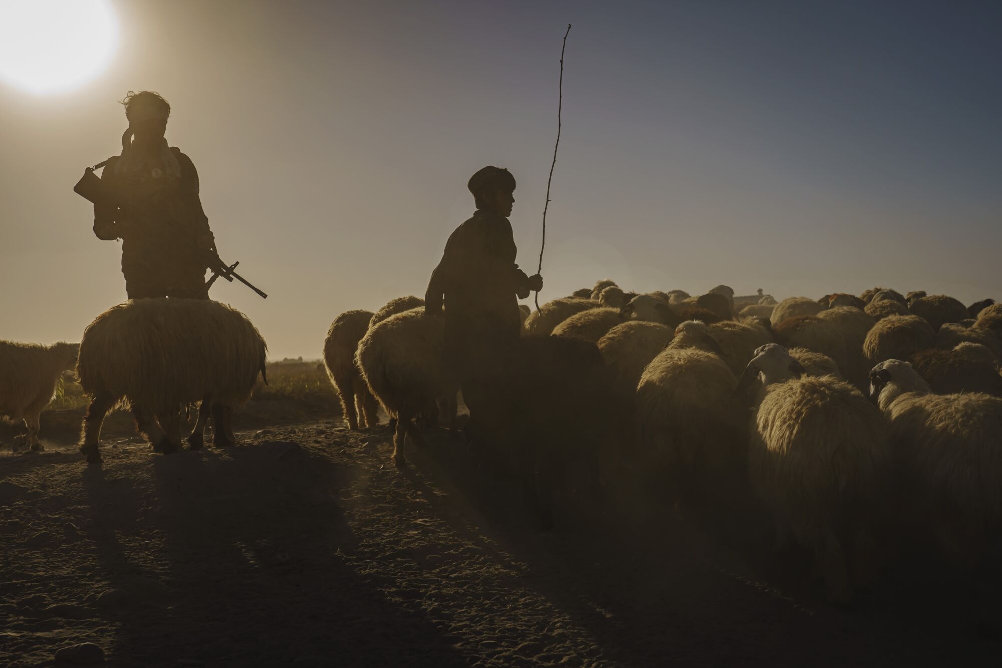 A police officer patrols a patch of land next to a shepherd and sheep.