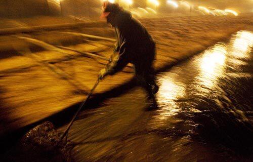 Cleaning the stalls at St. Anthony's dairy farm in Petaluma. Some who go there can't take the life and flee. "You'd wake up in the morning and they'd be gone," said one man.