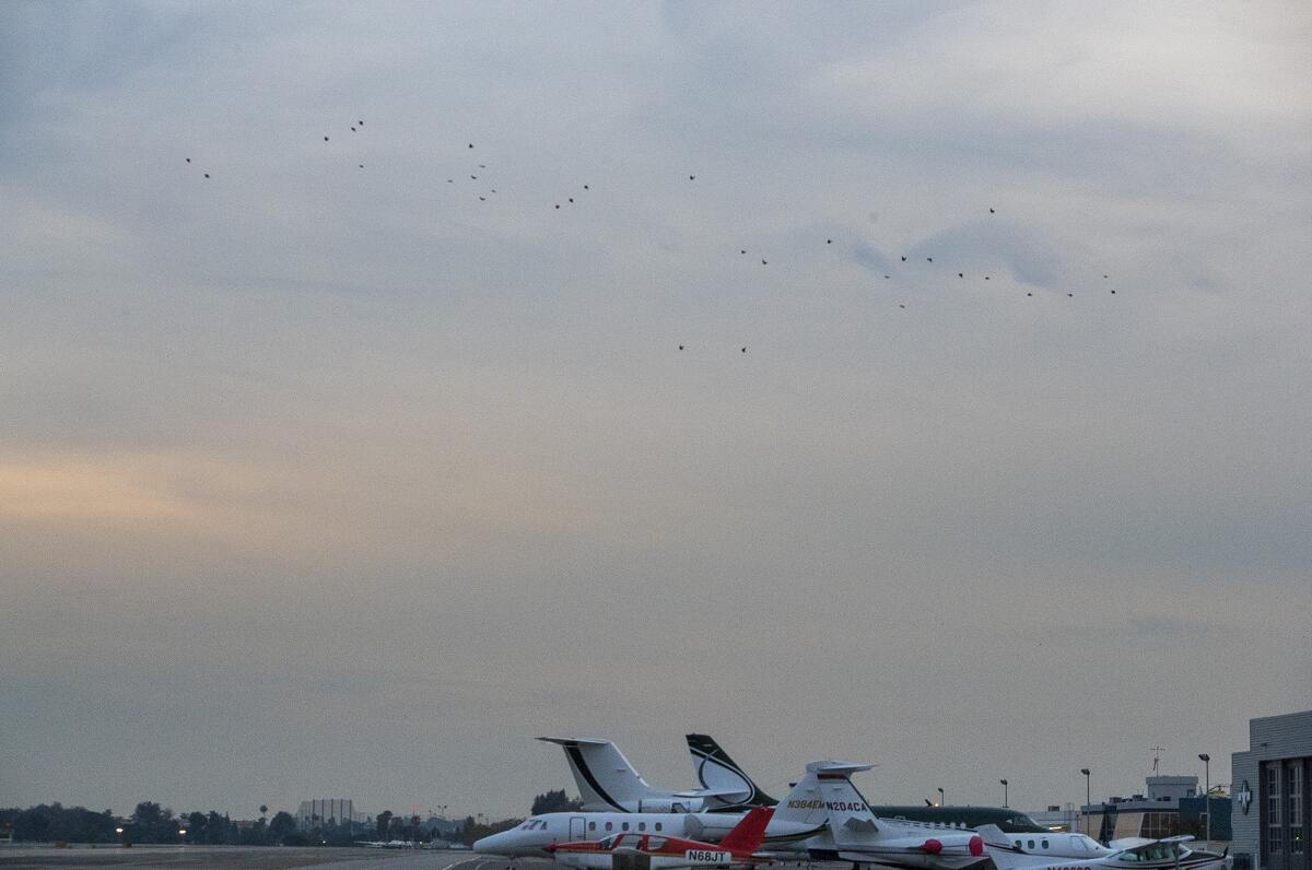 Crows fly over private jets at John Wayne Airport. The Orange County Board of Supervisors decided in June that the airport would get a new general aviation terminal with customs screening.