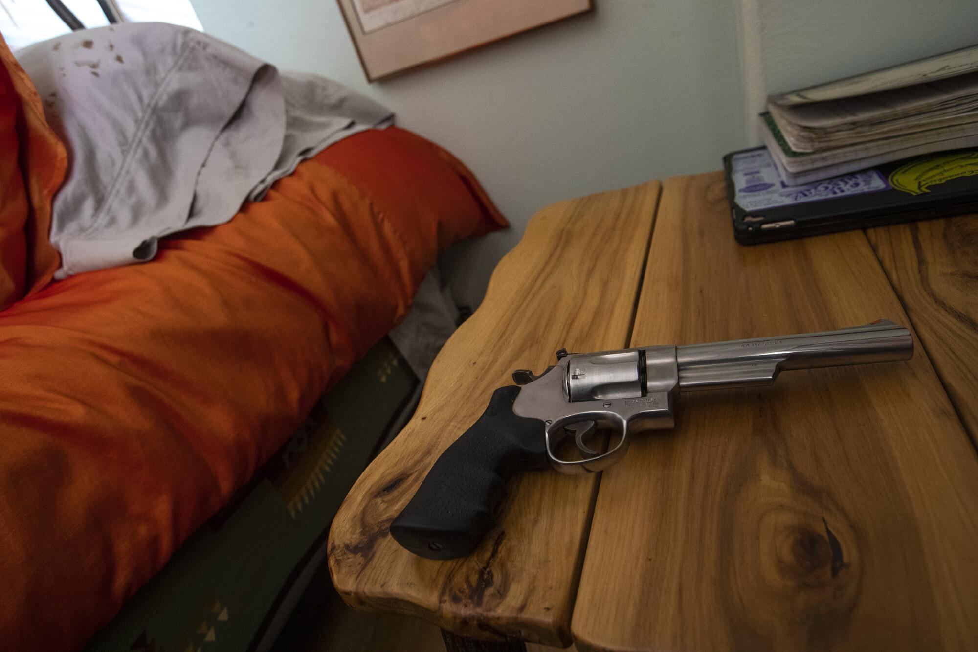 The .44 magnum found on Noel Manners' nightstand.