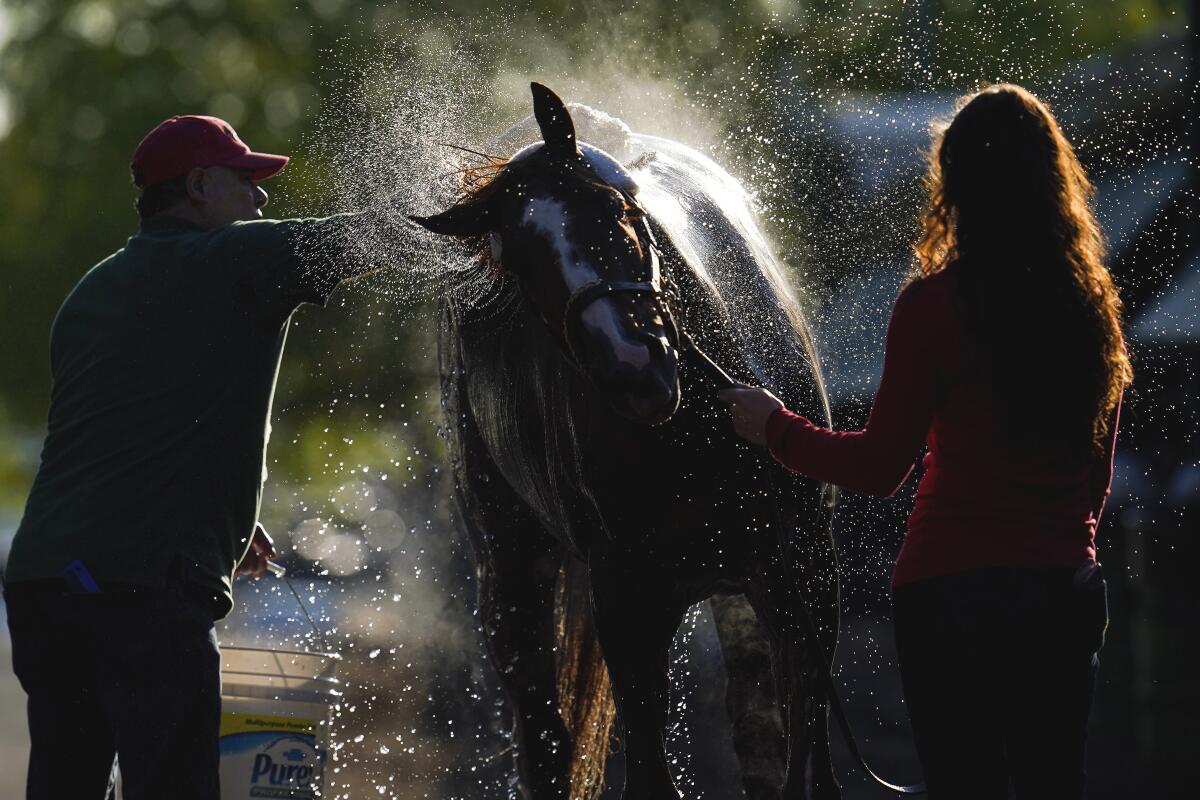 Guadalupe Guerrero, left, and exercise rider Jade Cunningham give Preakness hopeful Ram a bath.