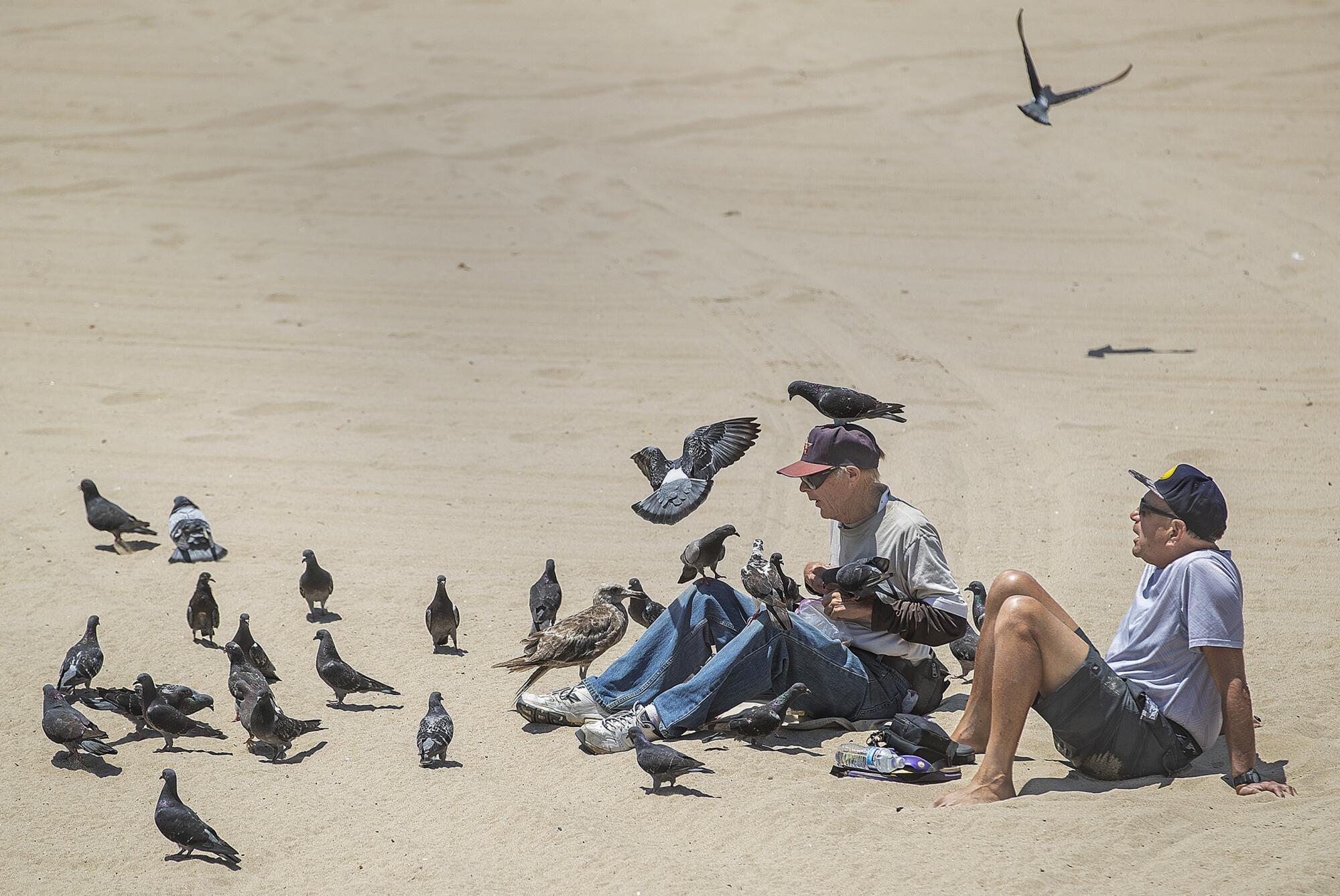 Feeding pigeons at Santa Monica Beach