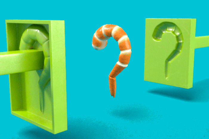 Animated illustration of shrimp made in a question-mark shaped mold