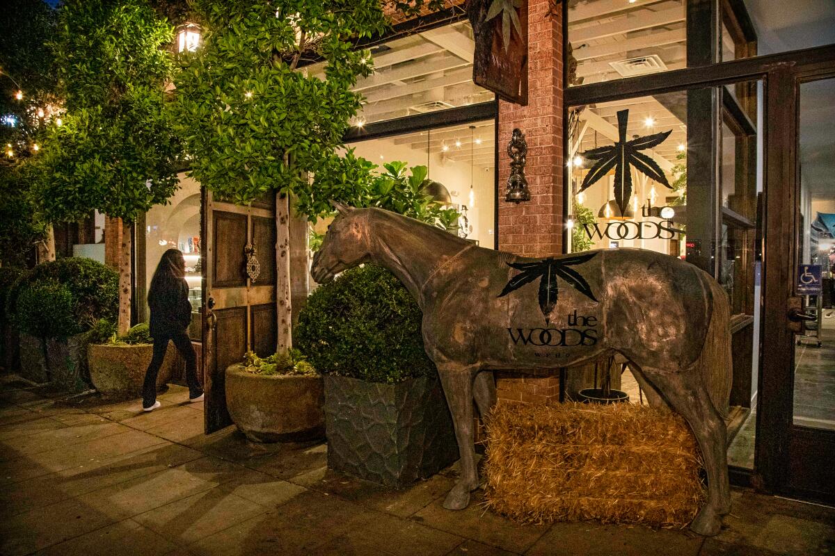 A person walks into a cannabis lounge past a horse sculpture