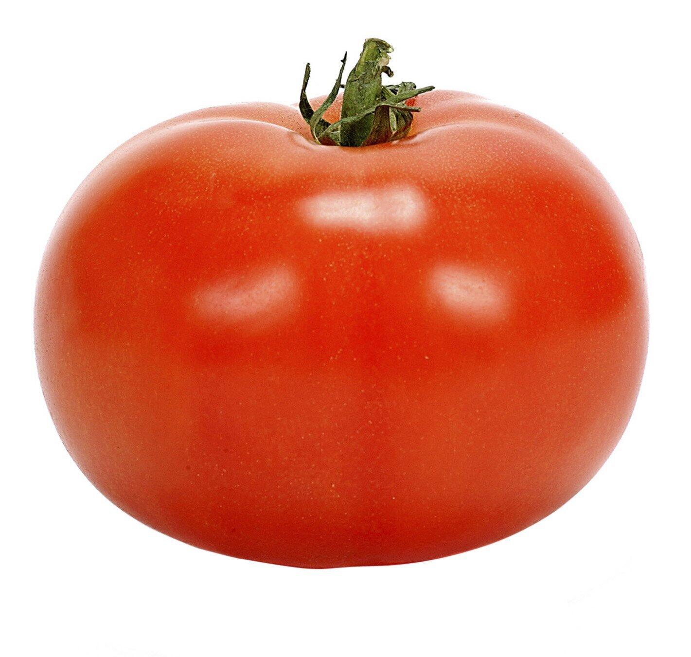 Caspian Pink Tomato, Heirloom Tomato Seeds: Totally Tomatoes