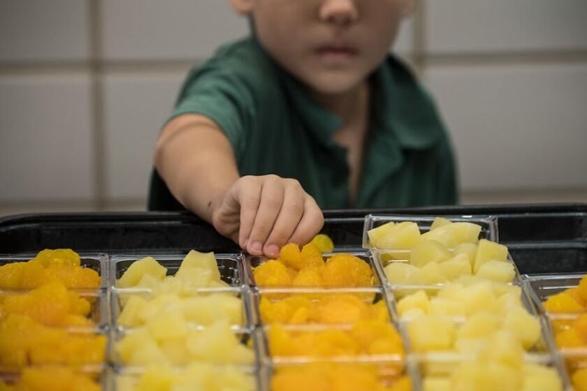 Las comidas escolares tienen el objetivo de facilitar el acceso de los estudiantes a alimentos saludables.