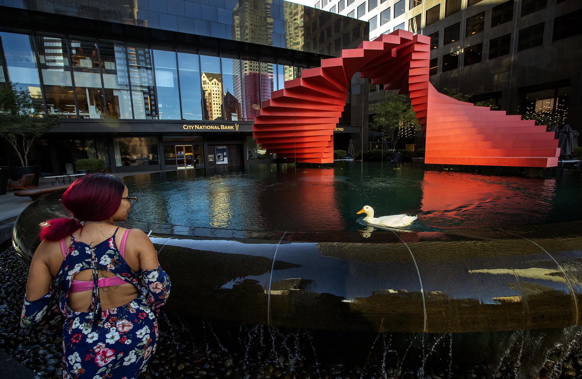 McWilliams walks next to Cardi D as she swims inside a water fountain on Flower Street in downtown Los Angeles.