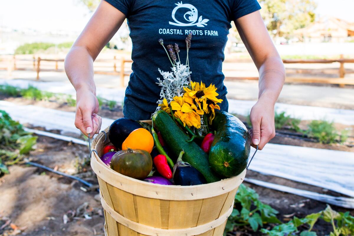 Coastal Roots Farm produce.
