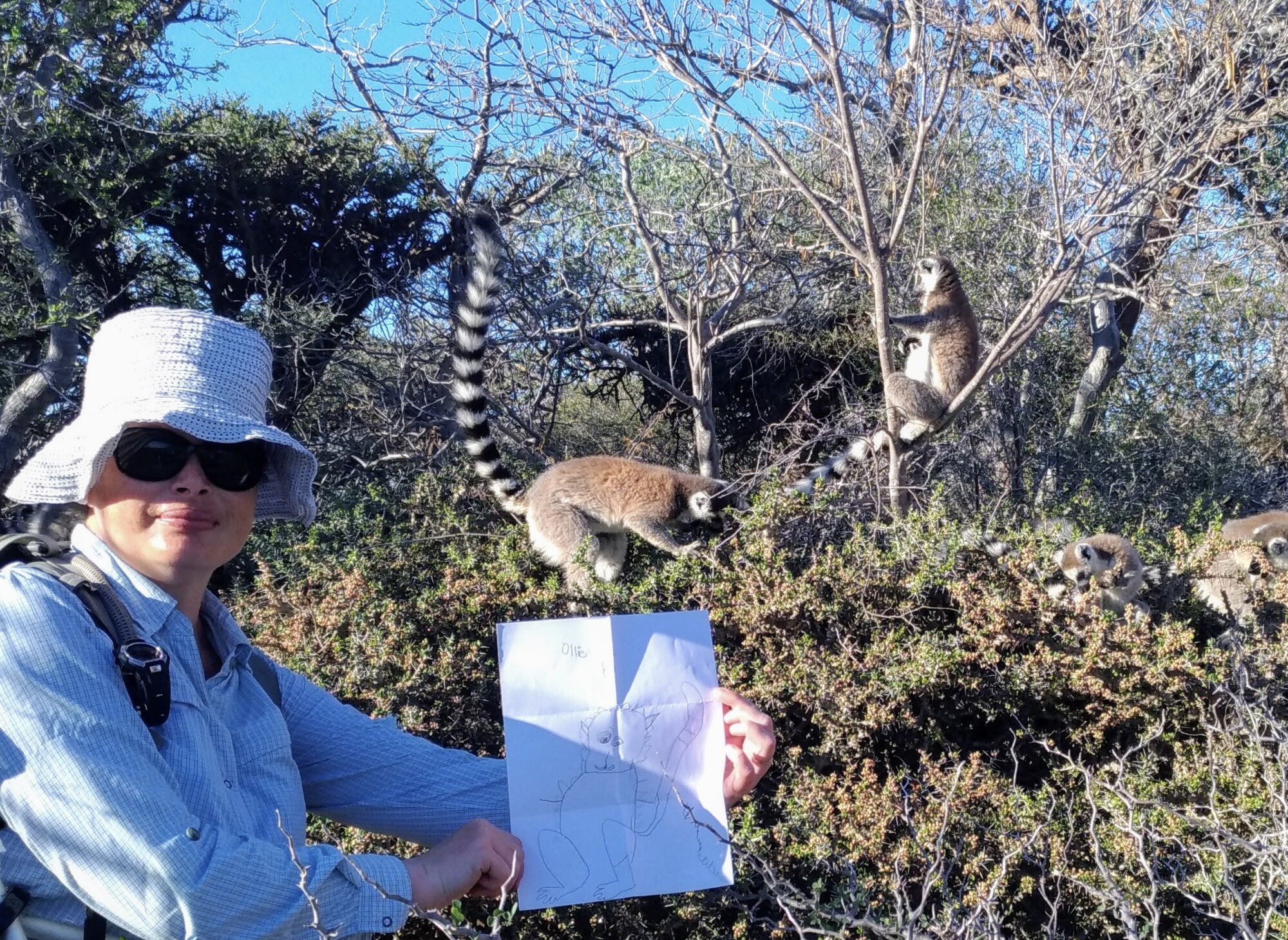 University of San Diego researcher Marni LeFleur will study lemurs in Madagascar this summer.
