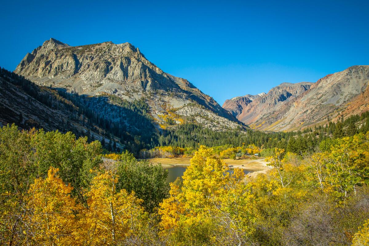 Lundy Canyon hike