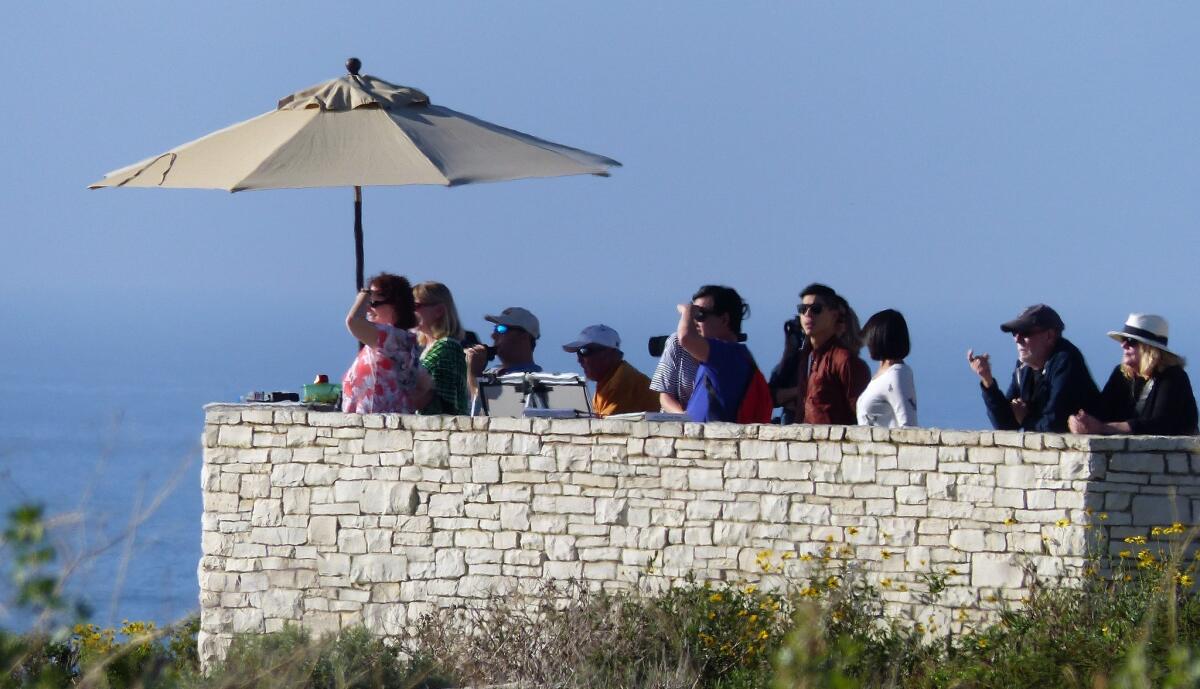 Observers and visitors scan the water from the Point Vicente interpretive center’s viewing deck.