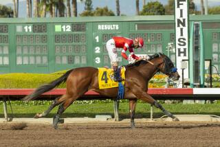 In a photo provided by Benoit Photo, Practical Move and jockey Ramon Vazquez.
