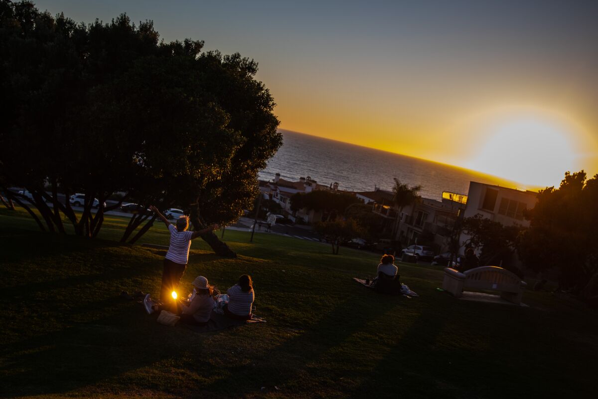 People on a grassy area overlooking the ocean at sunset