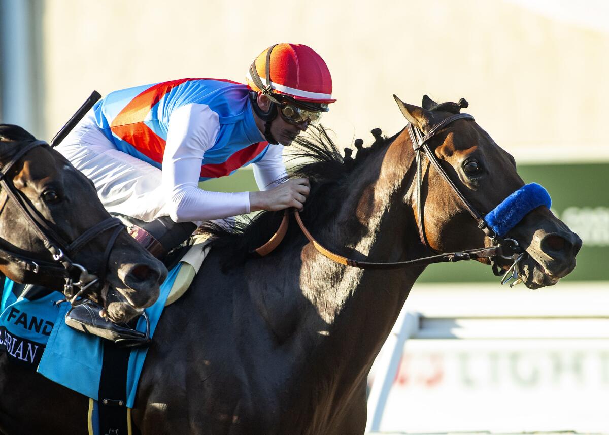 Arabian Knight with Flavien Prat wins the Grade I $1,000,000 Pacific Classic horse race.