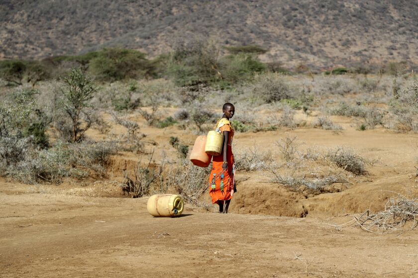 ARCHIVO- Una mujer samburu va a buscar agua durante una sequía el condado de Samburu, Kenia, 16 de octubre de 2022. Tras meses de análisis del clima de 2022, la Organización Meteorológica Mundial dice que el año pasado fue realmente tan desastroso como lo pareció. (AP Foto/Brian Inganga, File)