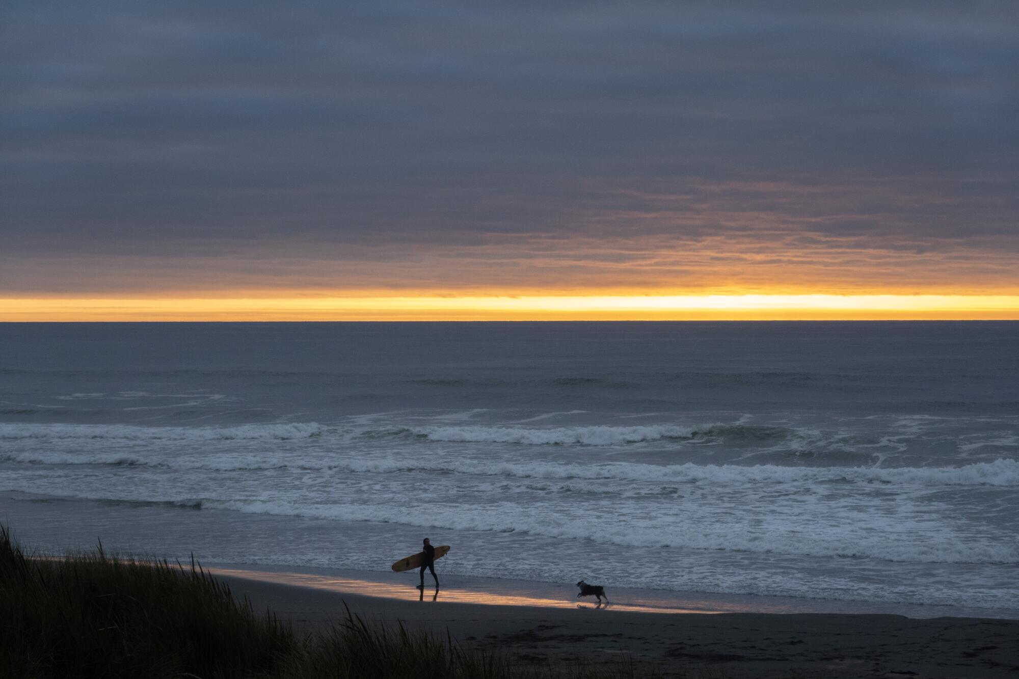 Surfer and dog walk by the beach during sunset.