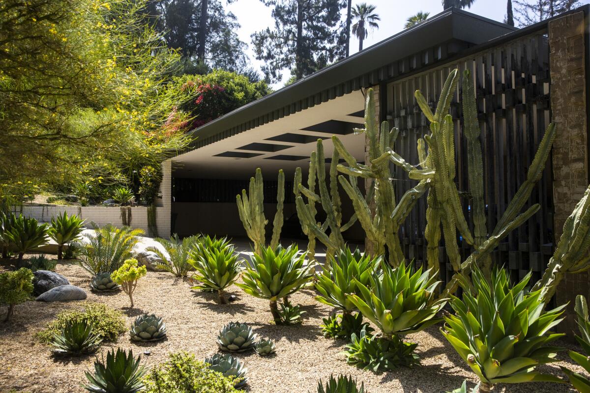 Landscape designer Gabriela Yariv loved the color of the paint on the latticework and the patio trim so much that she designed the plant palette in the front yard around it.