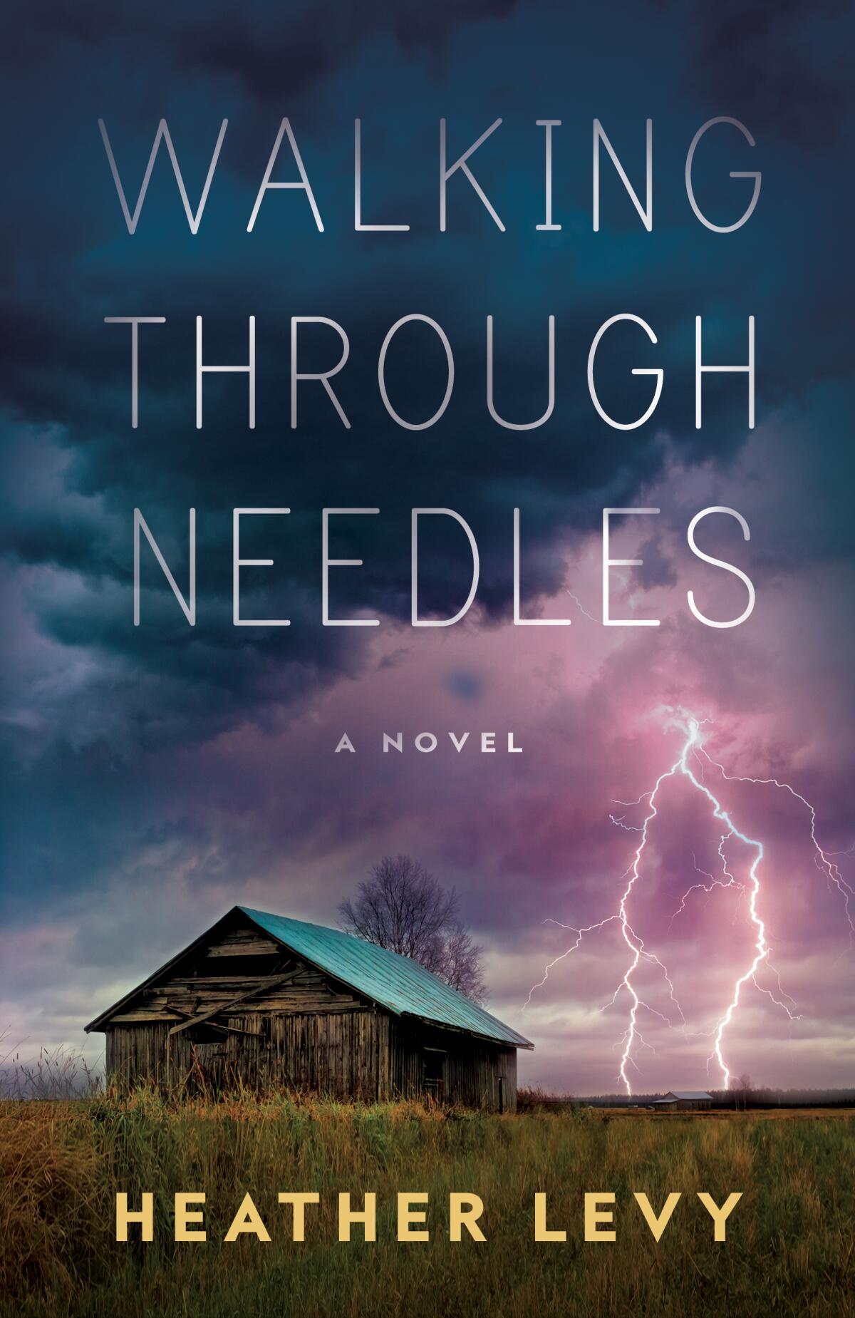 Lightning hits near a wooden shed on a book cover