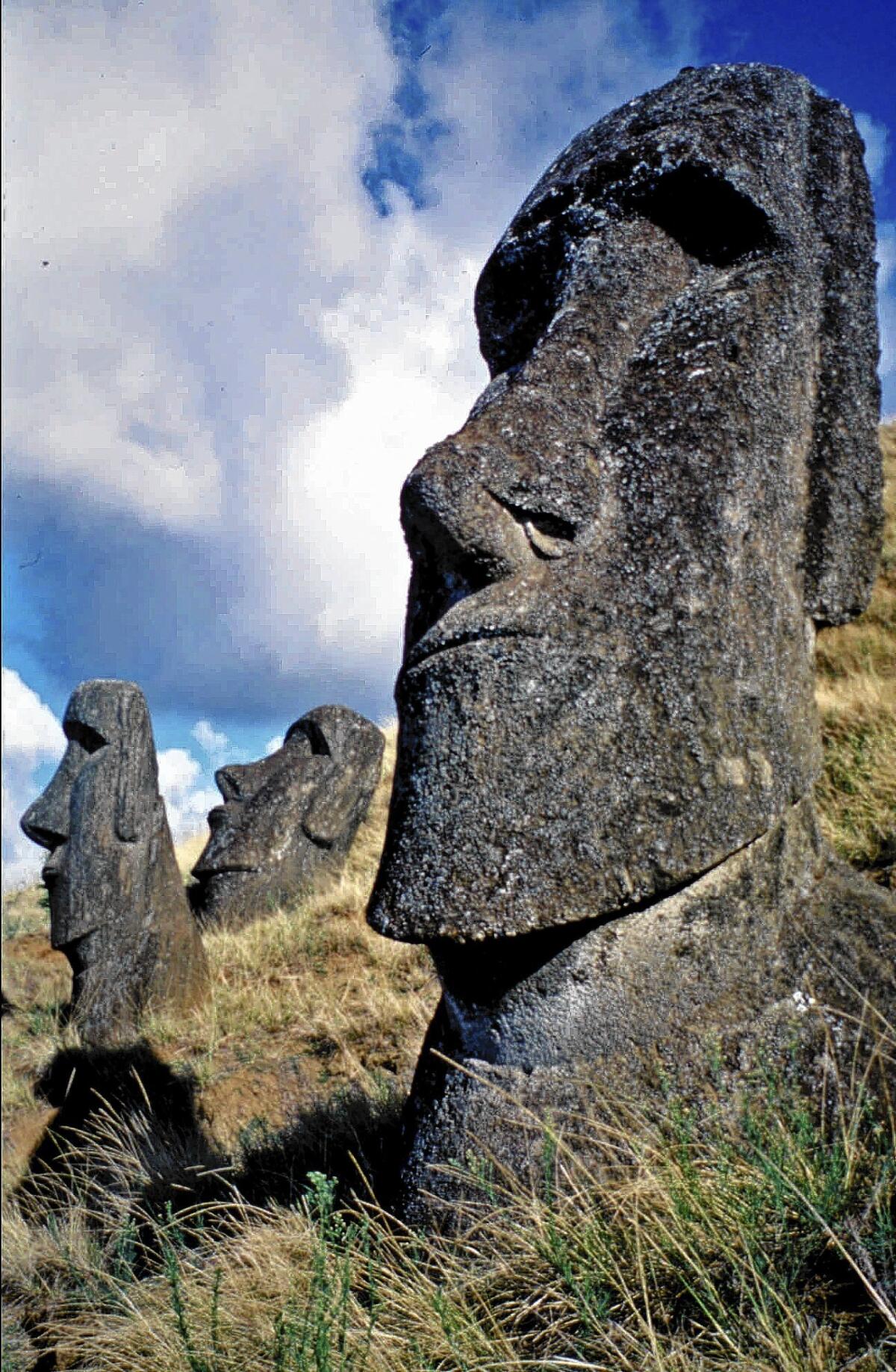 Iconic and mysterious Easter Island statues are all that remain of the clans that once lived there.