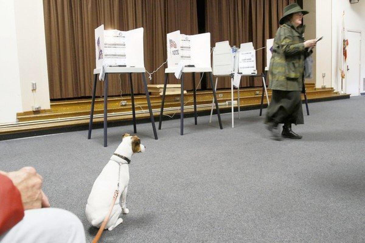 A dog waits while owner Deborah Murphy casts her ballot at a polling station at Allesandro Elementary School. The initial voter turnout for Los Angeles was 16%.