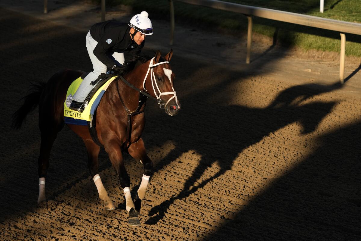 Kentucky Derby entrant Verifying works out at Churchill Downs on Wednesday.
