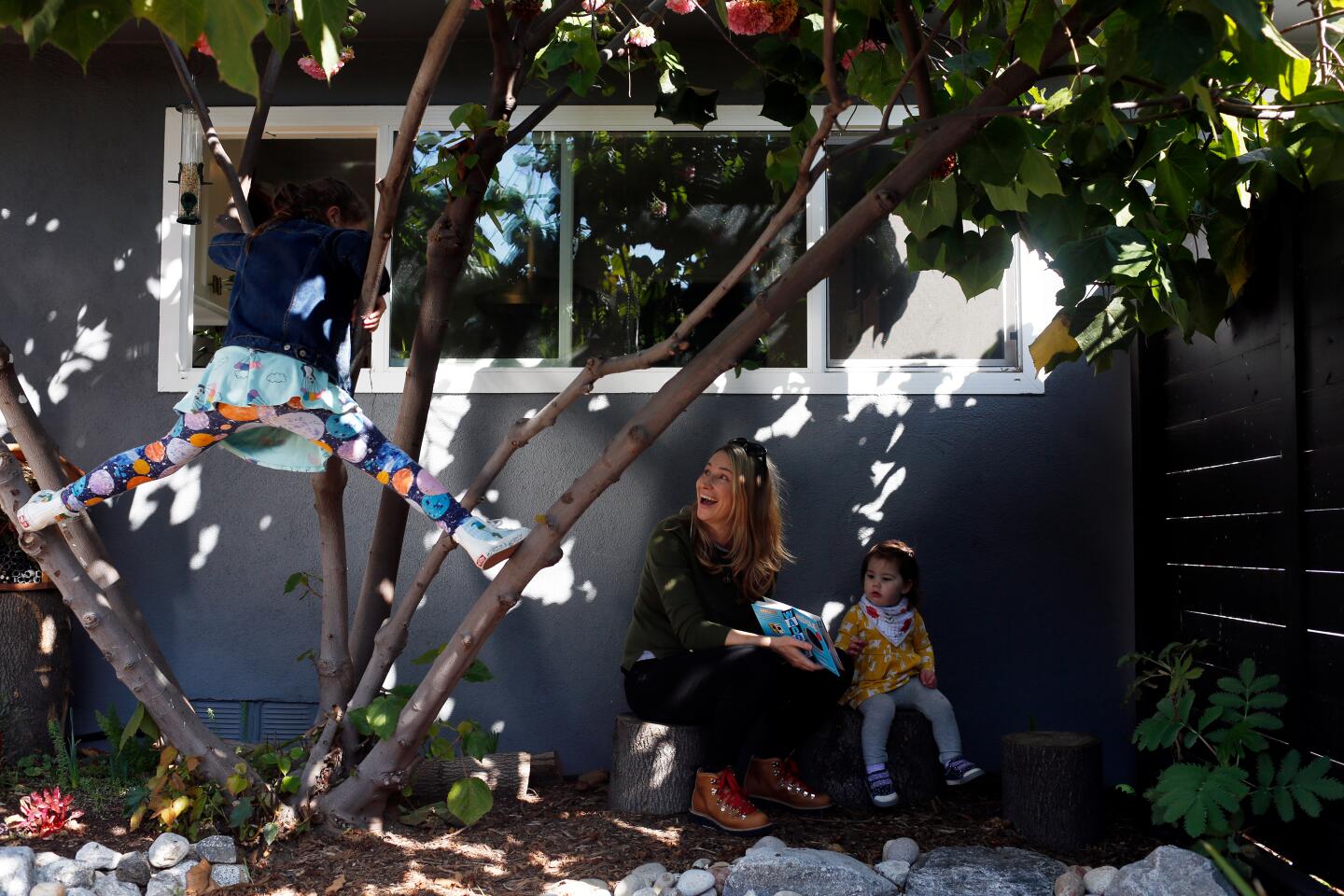 Nili Glatstein climbs a Dombeya wallichii tree, left, with mom Allison and Talia Glatstein, right, in what was previously the driveway.