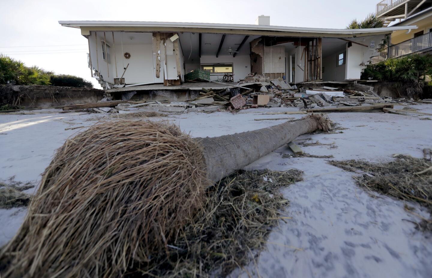 A damaged beach home stands beyond a fallen palm tree at Ponte Vedra Beach, Fla., on Oct. 8, 2016, after Hurricane Matthew passed through.