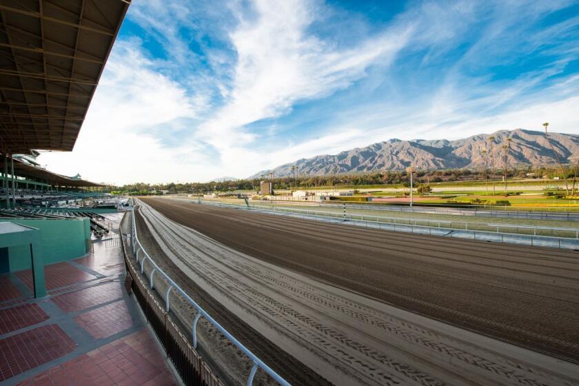 The first turn at Santa Anita Park, the racetrack that will celebrate the Kentucky Derby on Saturday via a simulcast.