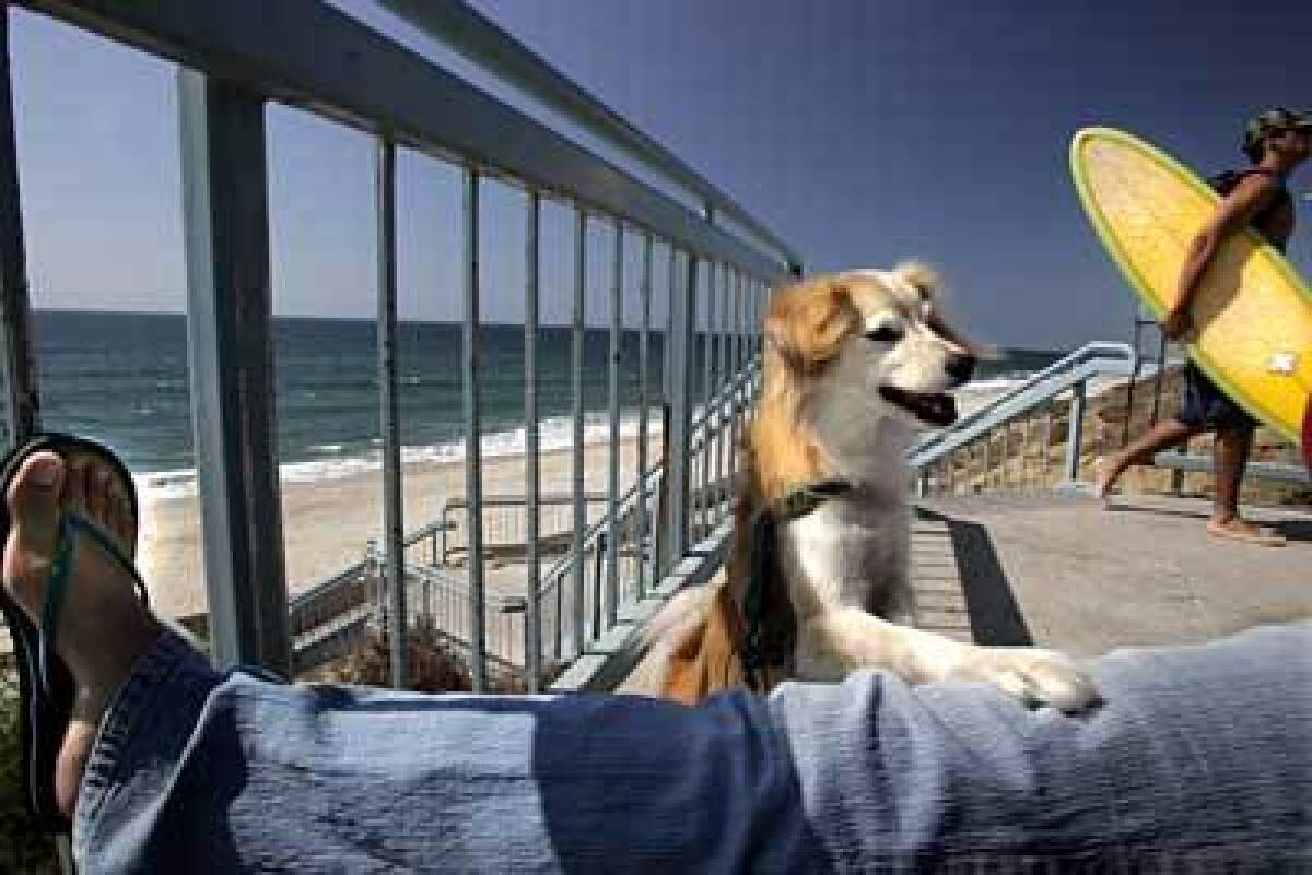 Canine and owner relax at Carlsbad State Beach. With the city's population booming, there is an emphasis on setting aside open space.