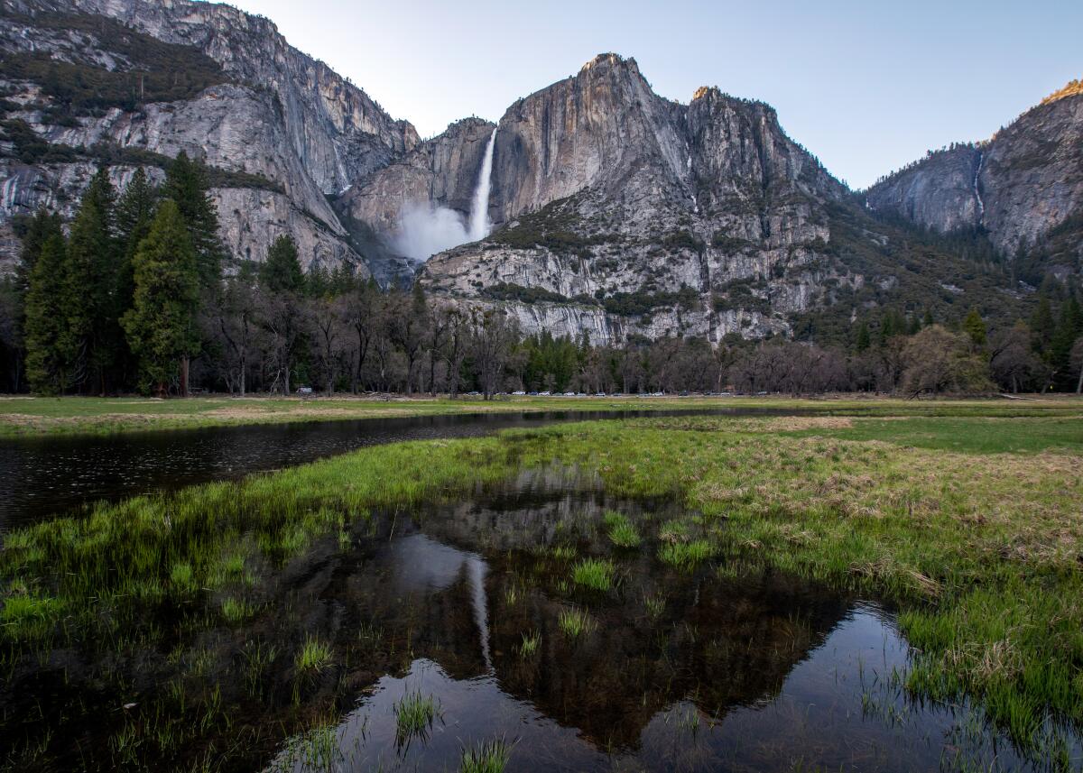 Yosemite Valley in April, a green meadow with roaring waterfall coming down a granite cliff.