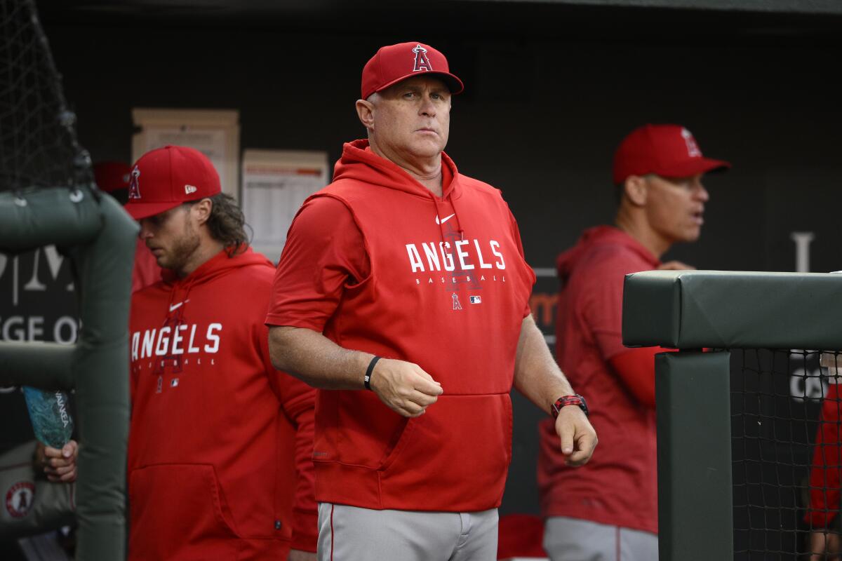 Angels manager Phil Nevin watches from the dugout during a game.